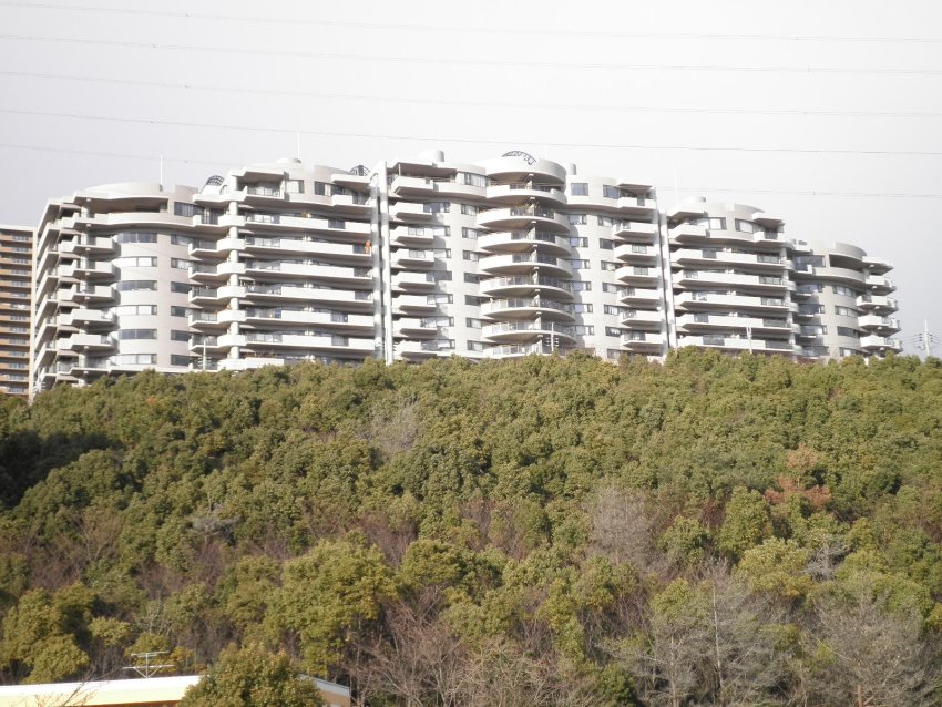 ��ˎs�A�}���V�����A���r�X�^��˃E�G�X�g�E�C���O1�ԊفA��ˉw�E�ʐ^2